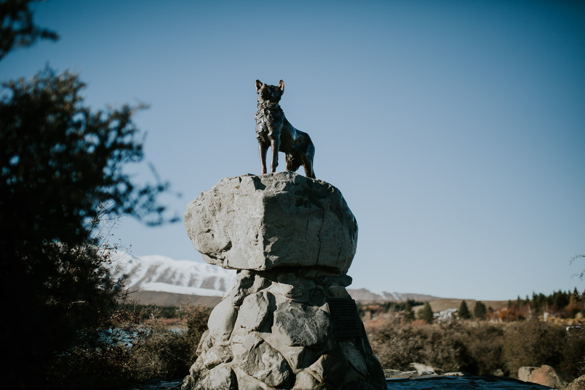 New_zealand_road_trip_littleton_Lake_tekapo-44.jpg