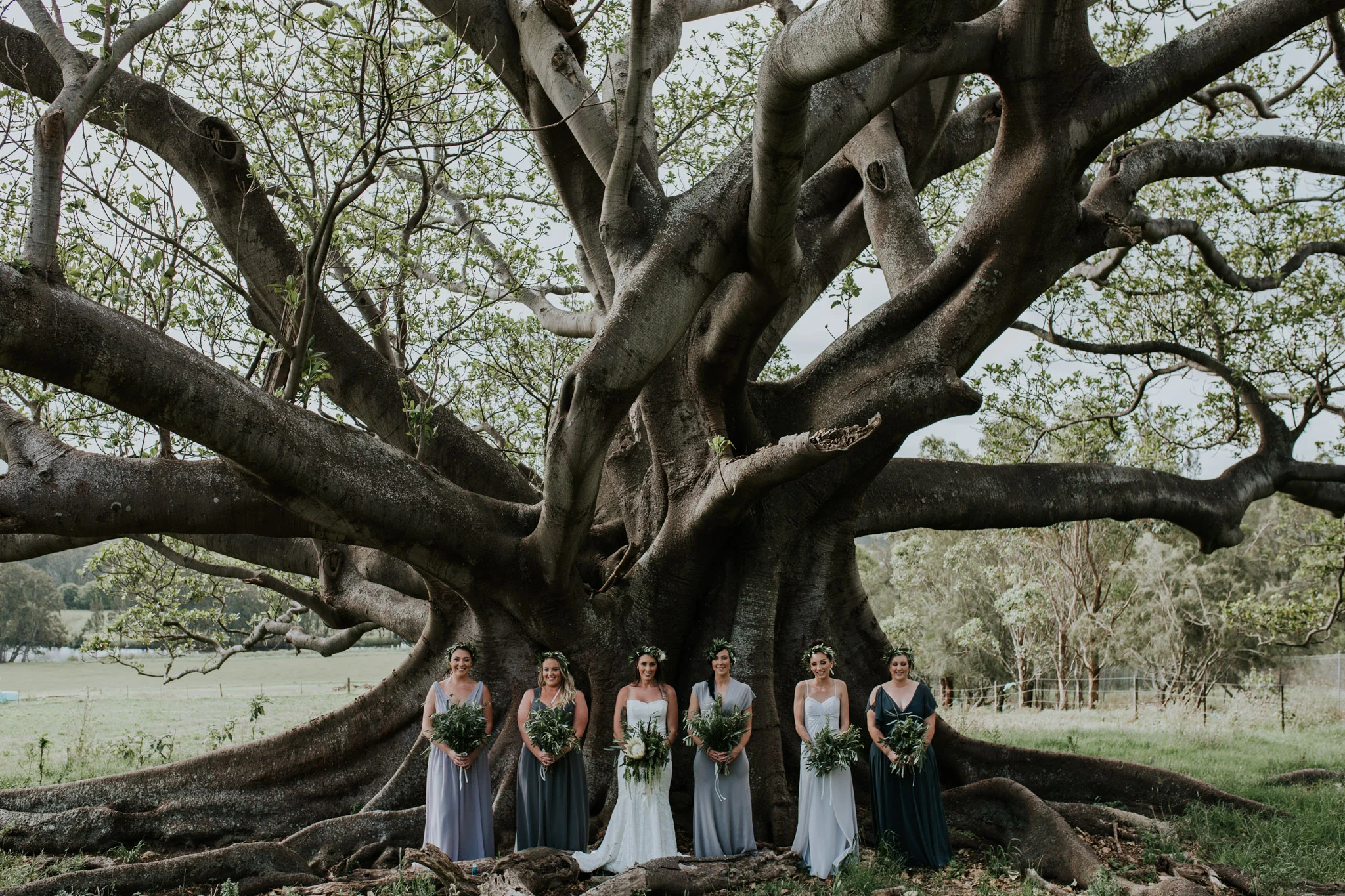Tara_Luke_Jamberoo_Honey_farm_wedding-79.jpg