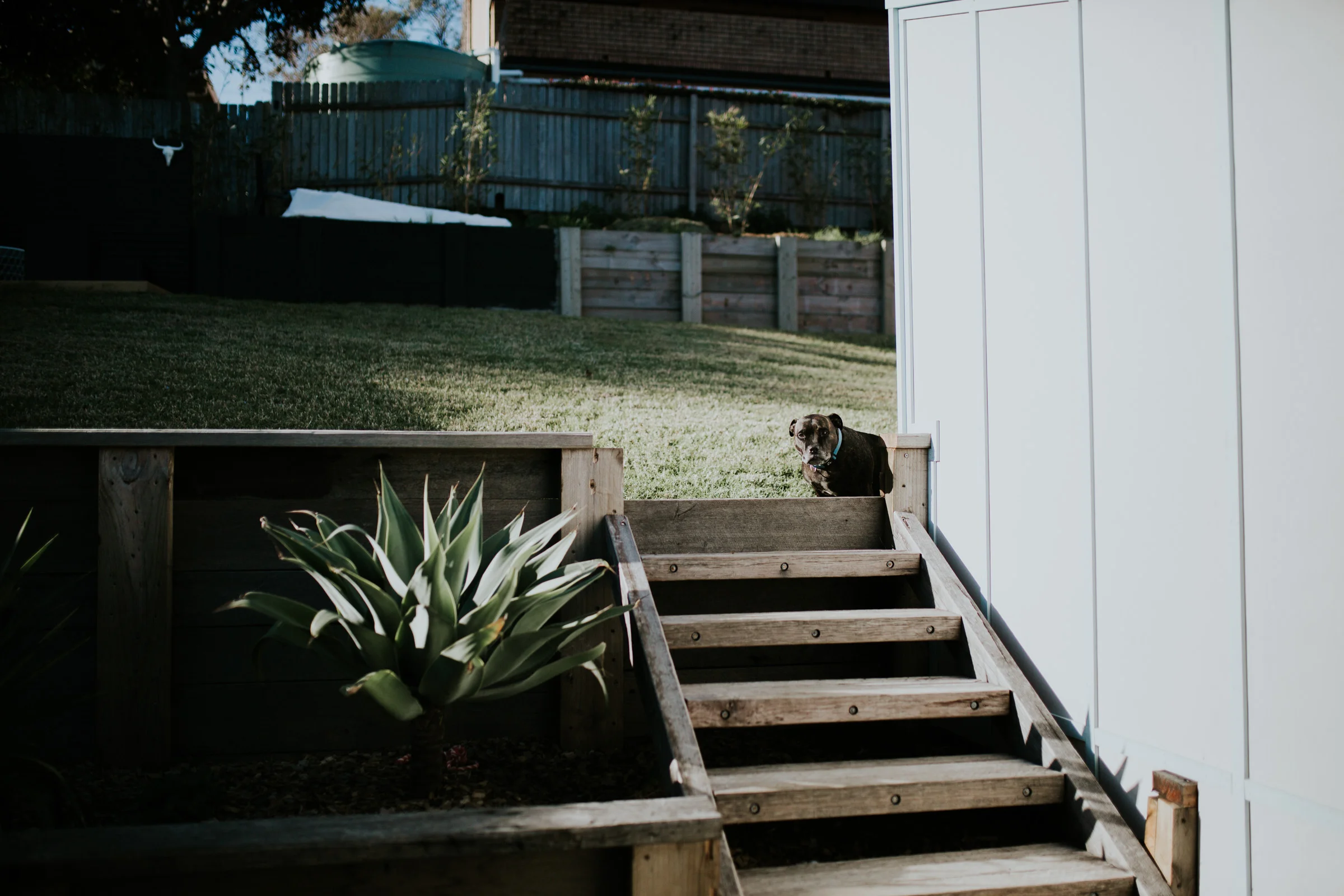 Hewison-Family-Kiama-in-home-portrait-session-23.jpg