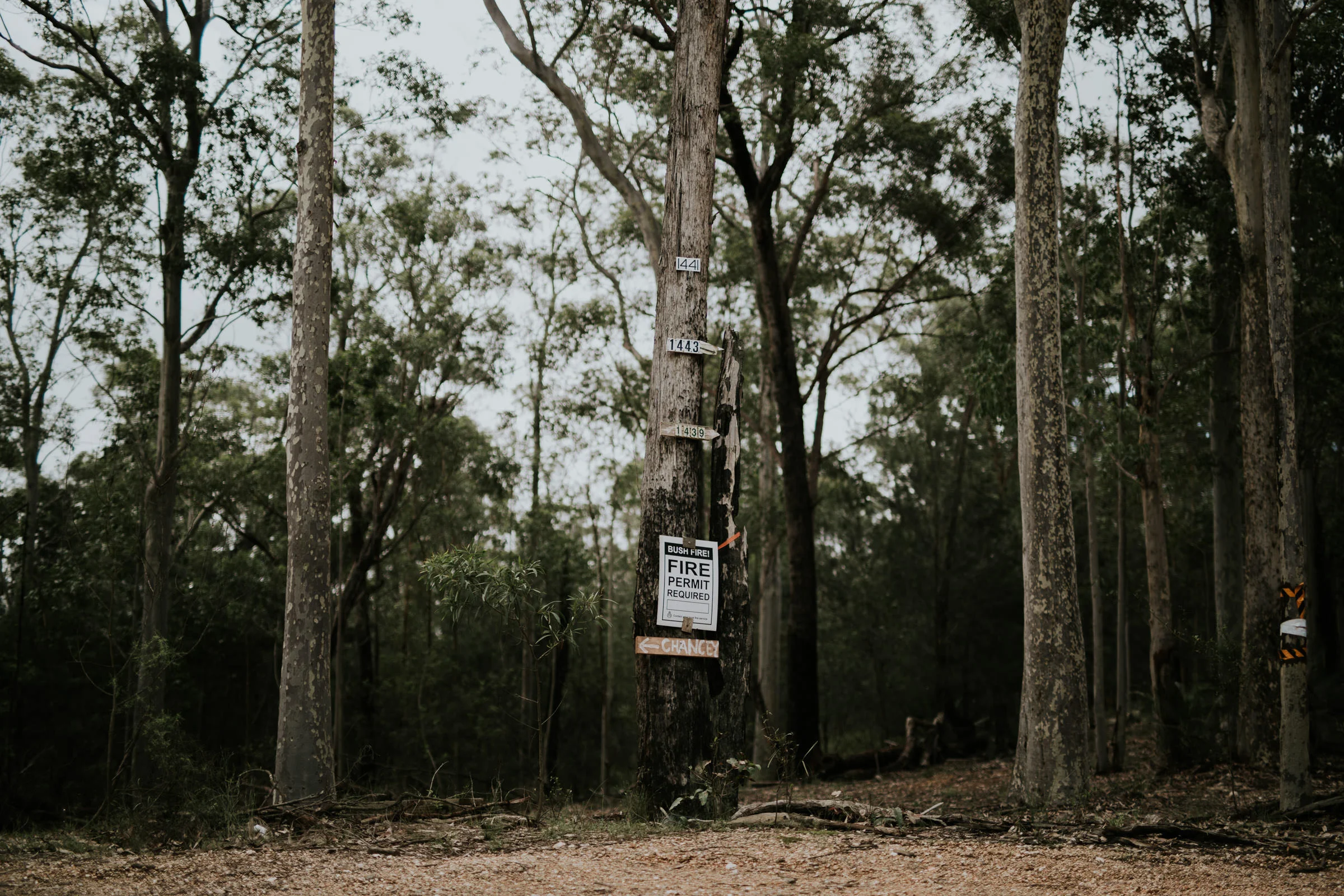 Emma+John+Far+South+Coast+Wedding+Festivl+Glamping+Bush-67.jpg
