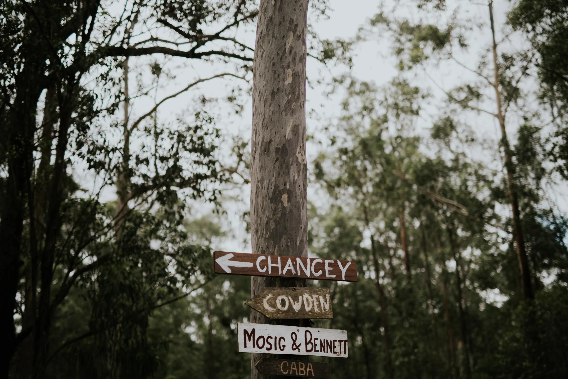 Emma+John+Far+South+Coast+Wedding+Festivl+Glamping+Bush-68.jpg