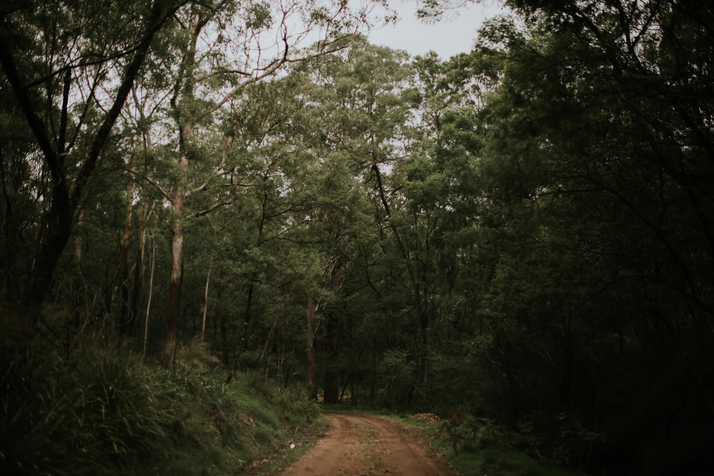Emma+John+Far+South+Coast+Wedding+Festivl+Glamping+Bush-71.jpg
