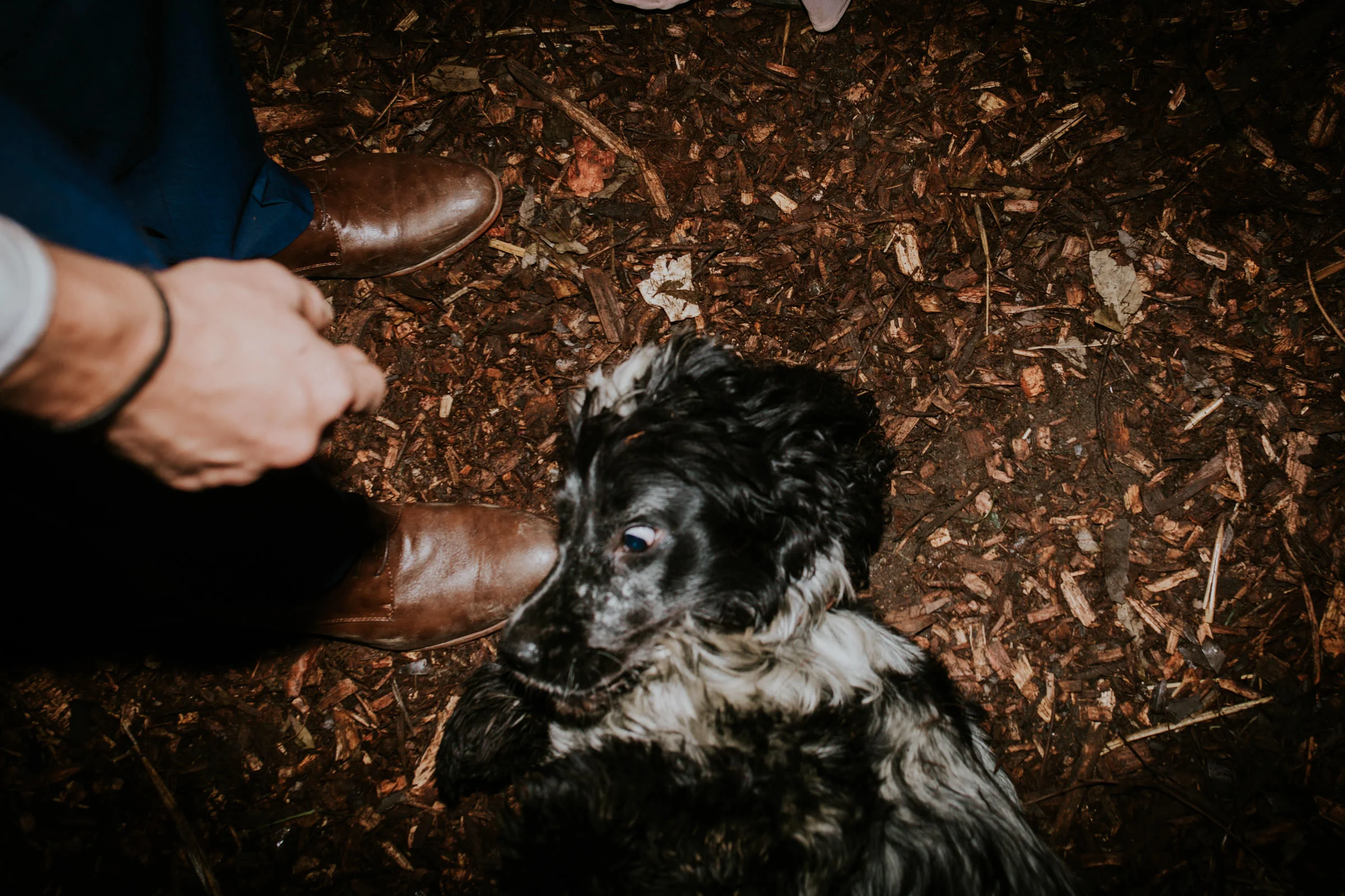 Emma+John+Far+South+Coast+Wedding+Festivl+Glamping+Bush-170.jpg