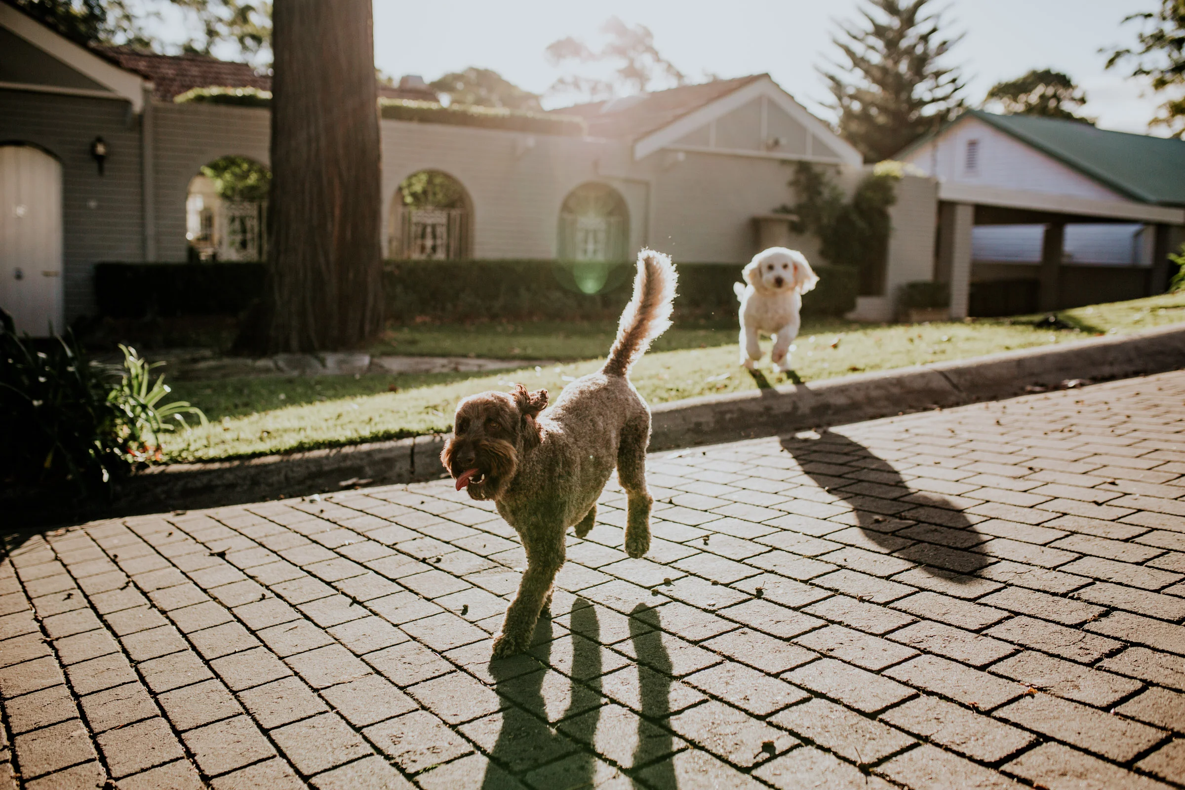ROB+LOZ+ELKIE+KOCH+FAMILY+INHOME+LIFESTYLE+SESSION-42.jpg