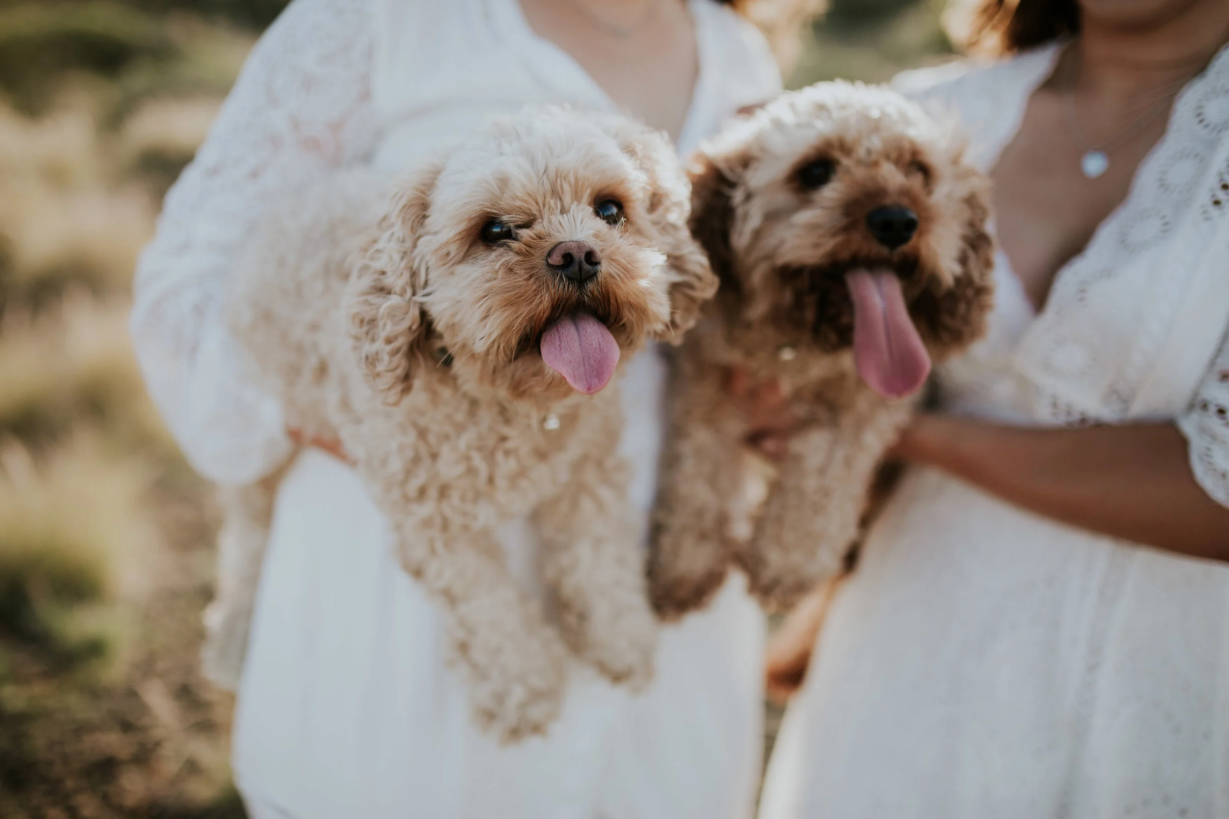 Meg+Leah+sisters+Relaxed+family+Session+Kiama+-11.jpg