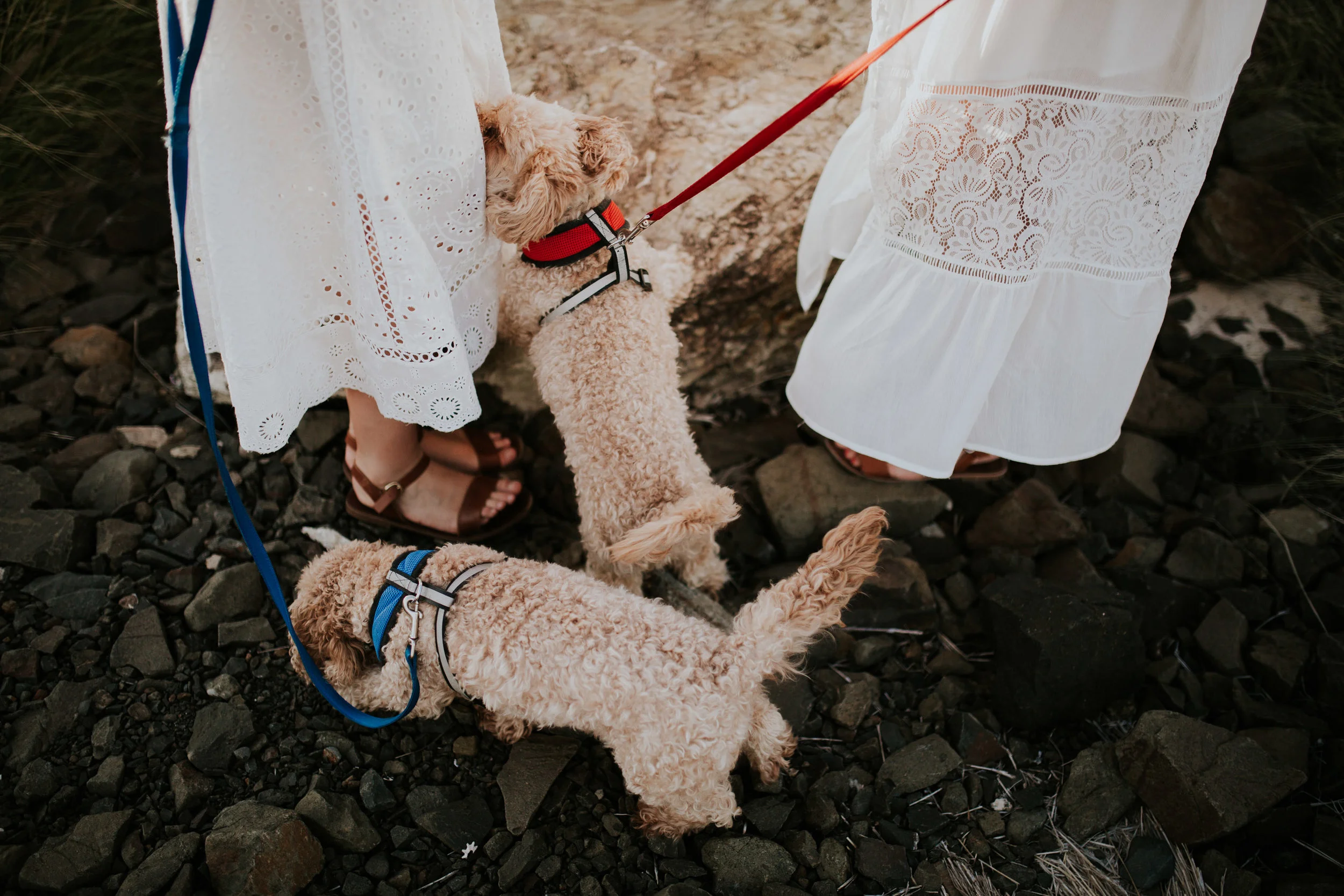 Meg+Leah+sisters+Relaxed+family+Session+Kiama+-32.jpg