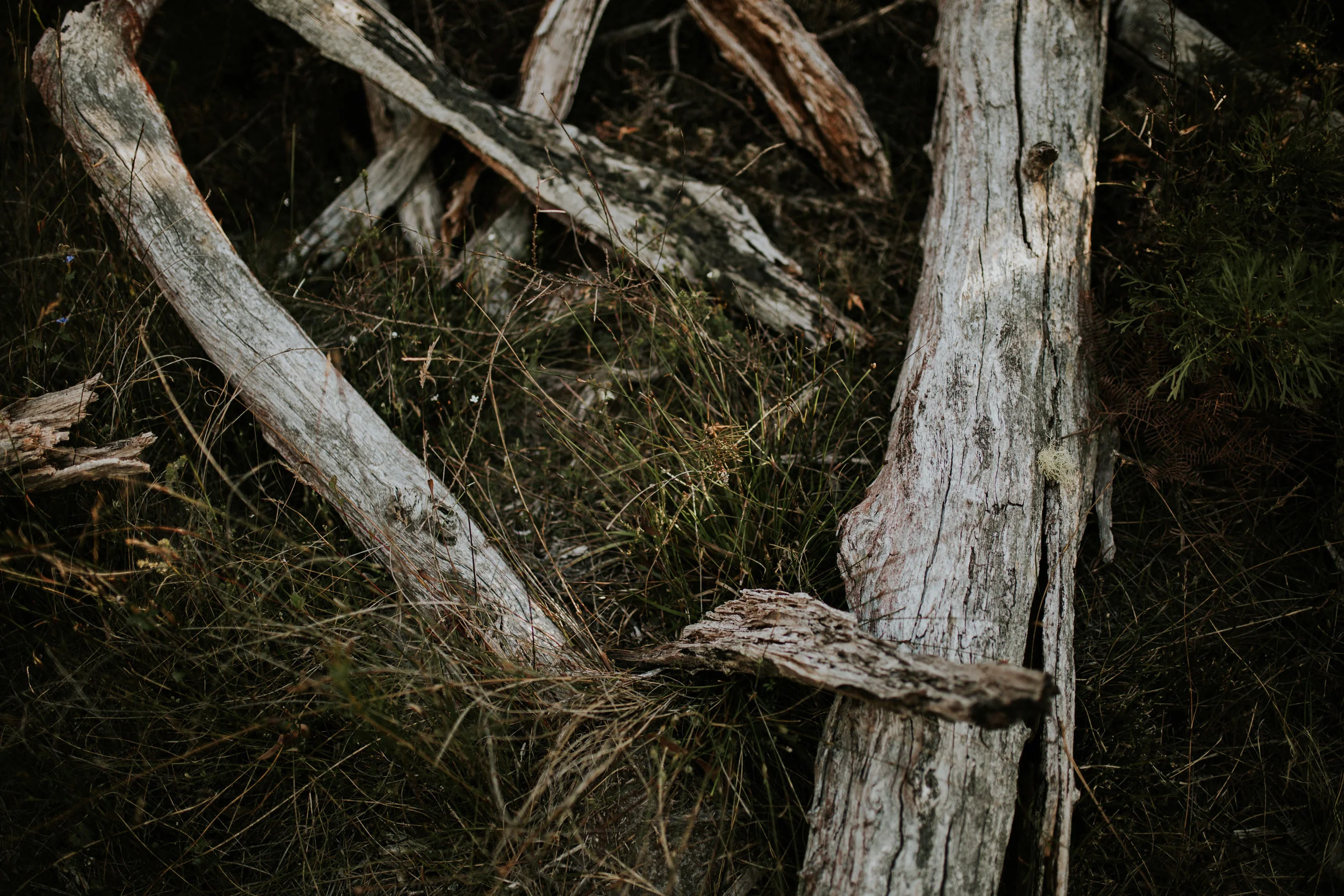 Sarah+Grant+Anniversary+Couple+session+Southern+highlands--2.jpg