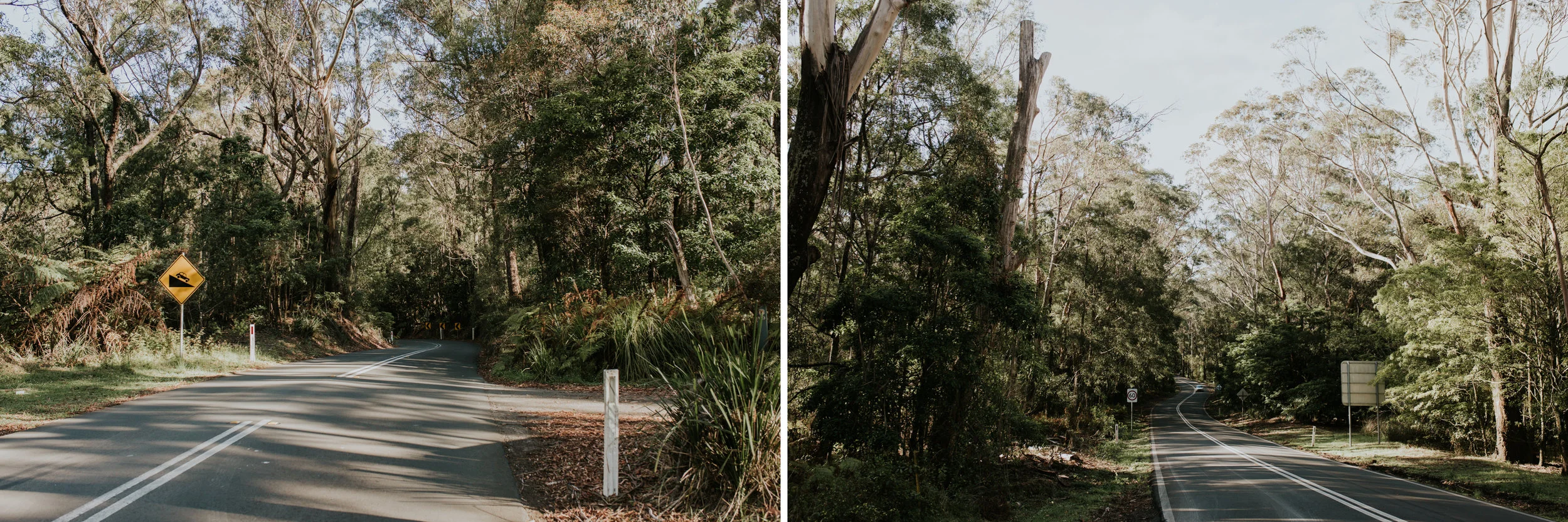 Sarah+Grant+Anniversary+Couple+session+Southern+highlands-2.jpg