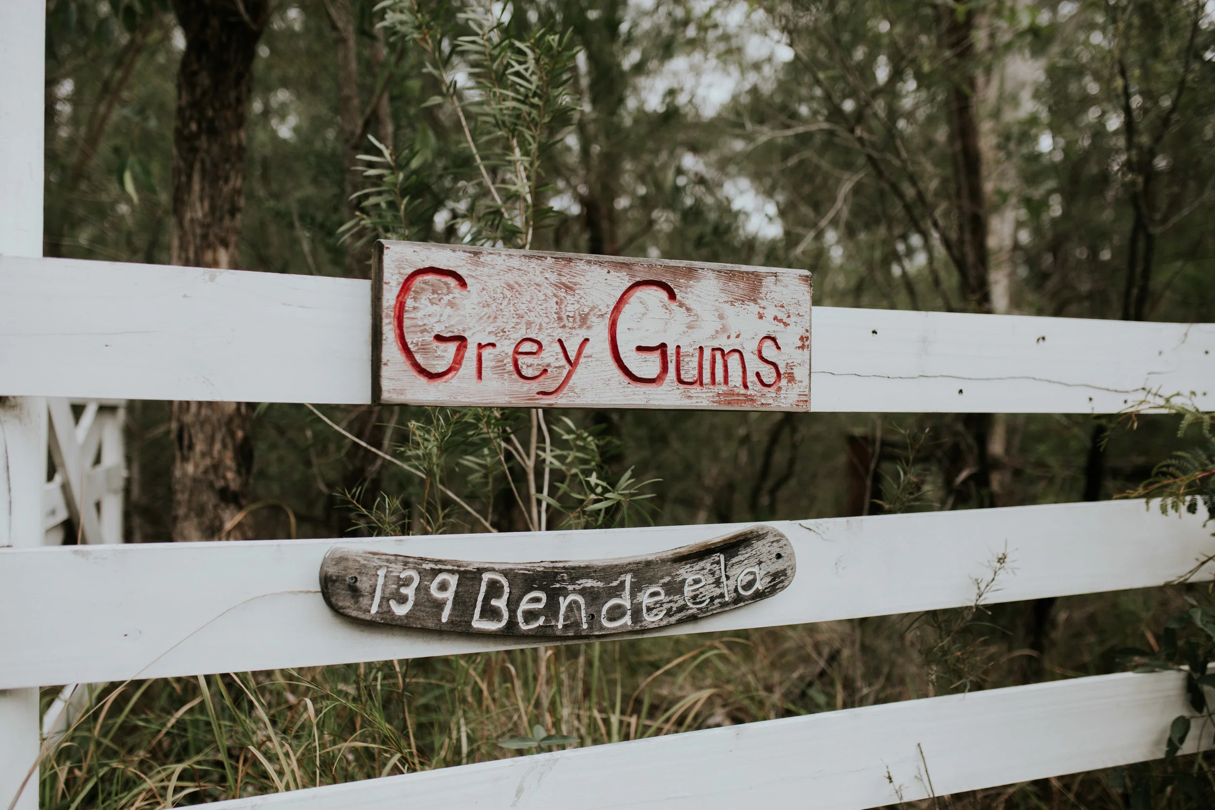 Jesse+Matt+Kangaroo+Valley+Wildwood+Boho+Relaxed+wedding+-29.jpg