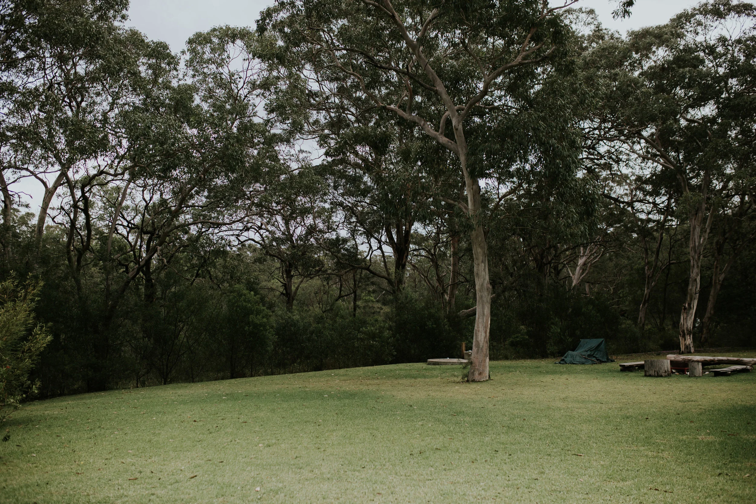 Jesse+Matt+Kangaroo+Valley+Wildwood+Boho+Relaxed+wedding+-31.jpg