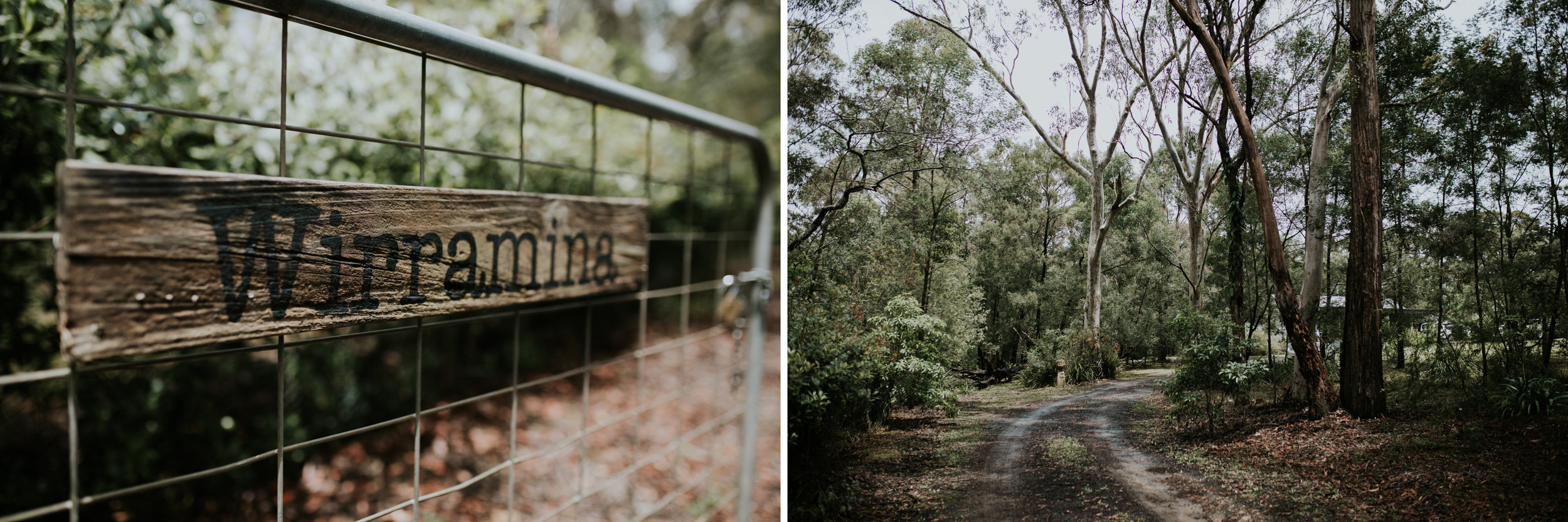 Jesse+Matt+Kangaroo+Valley+Wildwood+Boho+Relaxed+wedding-1.jpg