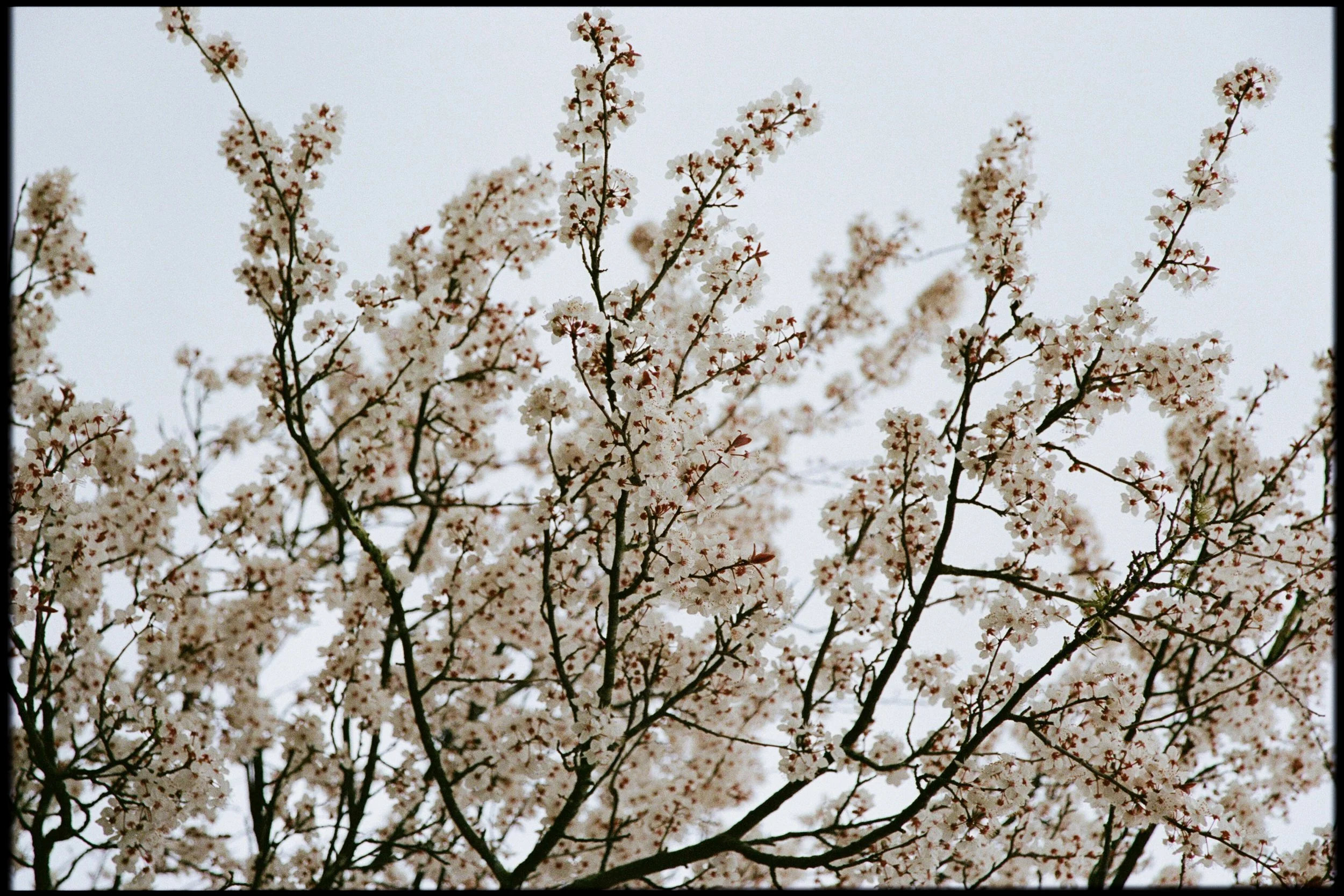 Film Portfolio - Alana Taylor Photography -27.jpg
