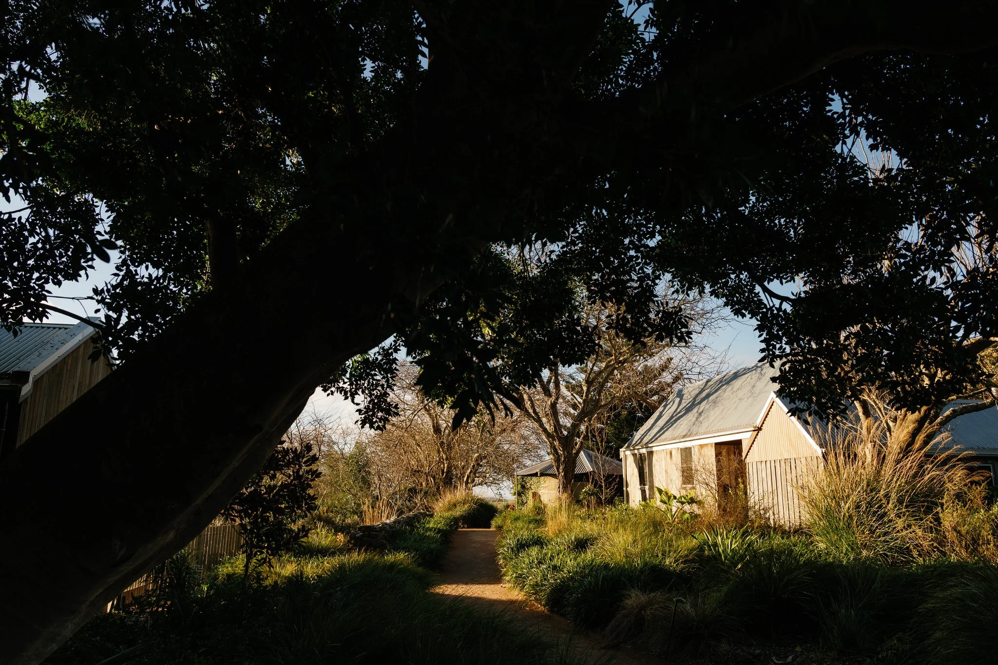 Greyleigh x Alana Taylor Photography-27-1.jpg