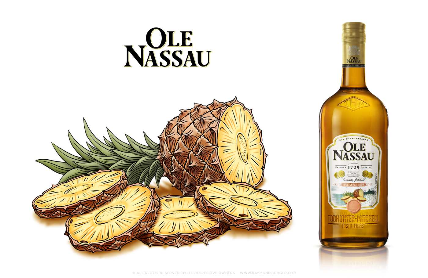Ole Nassau Pineapple © www.raymondburger.com.jpg