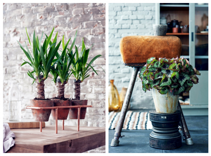 Groen-wonen-Unexpected-Wild-planten-bloemen-trend-2015-nr-1.1417116427-van-STIJLVOLSTYLING.COM.png