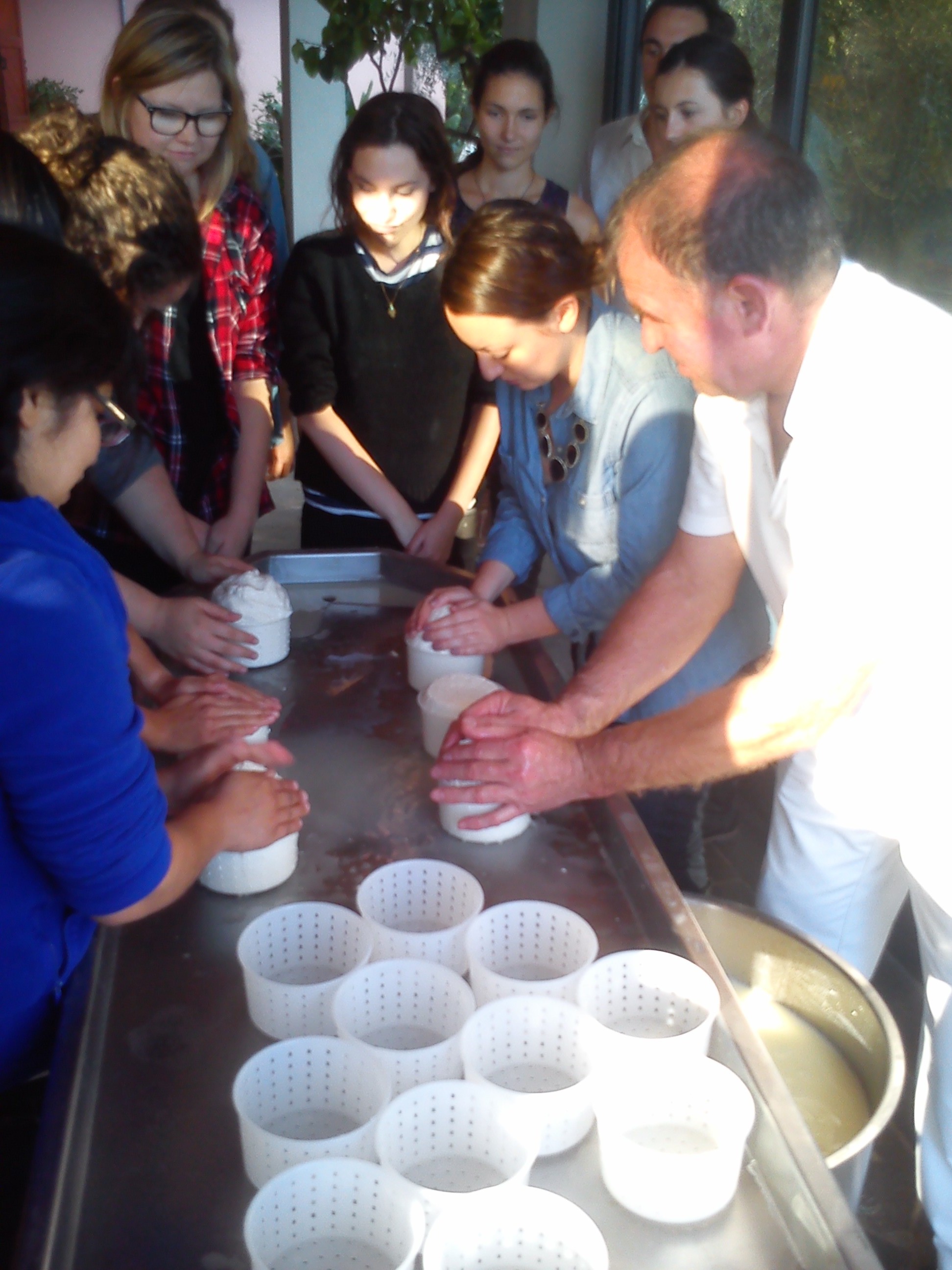 Every student gets a chance to make their own batch of cheese