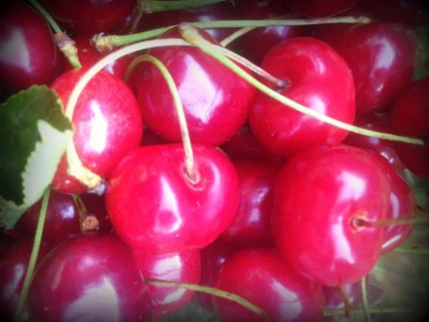 cherries.jpg
