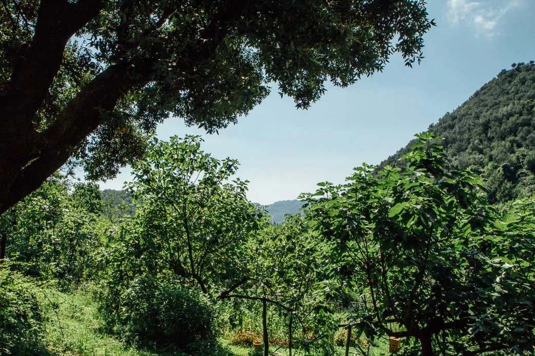 Setting up Shop in Italy