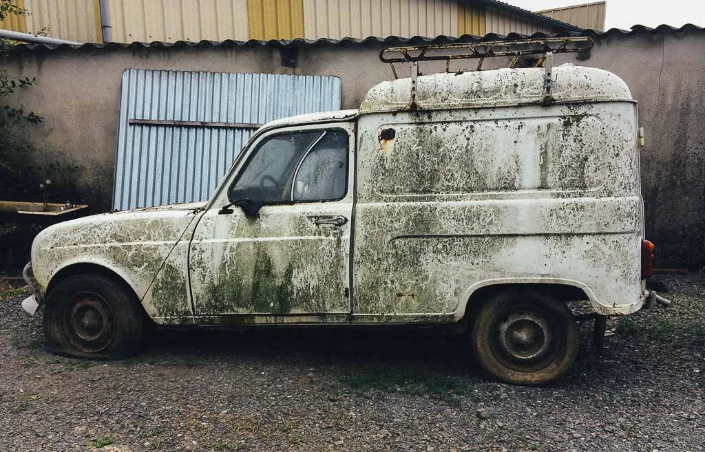 Decaying Beauty