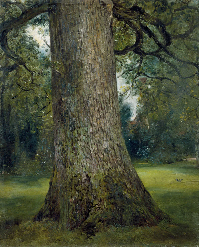 Bark Of a Mechanical Tree
