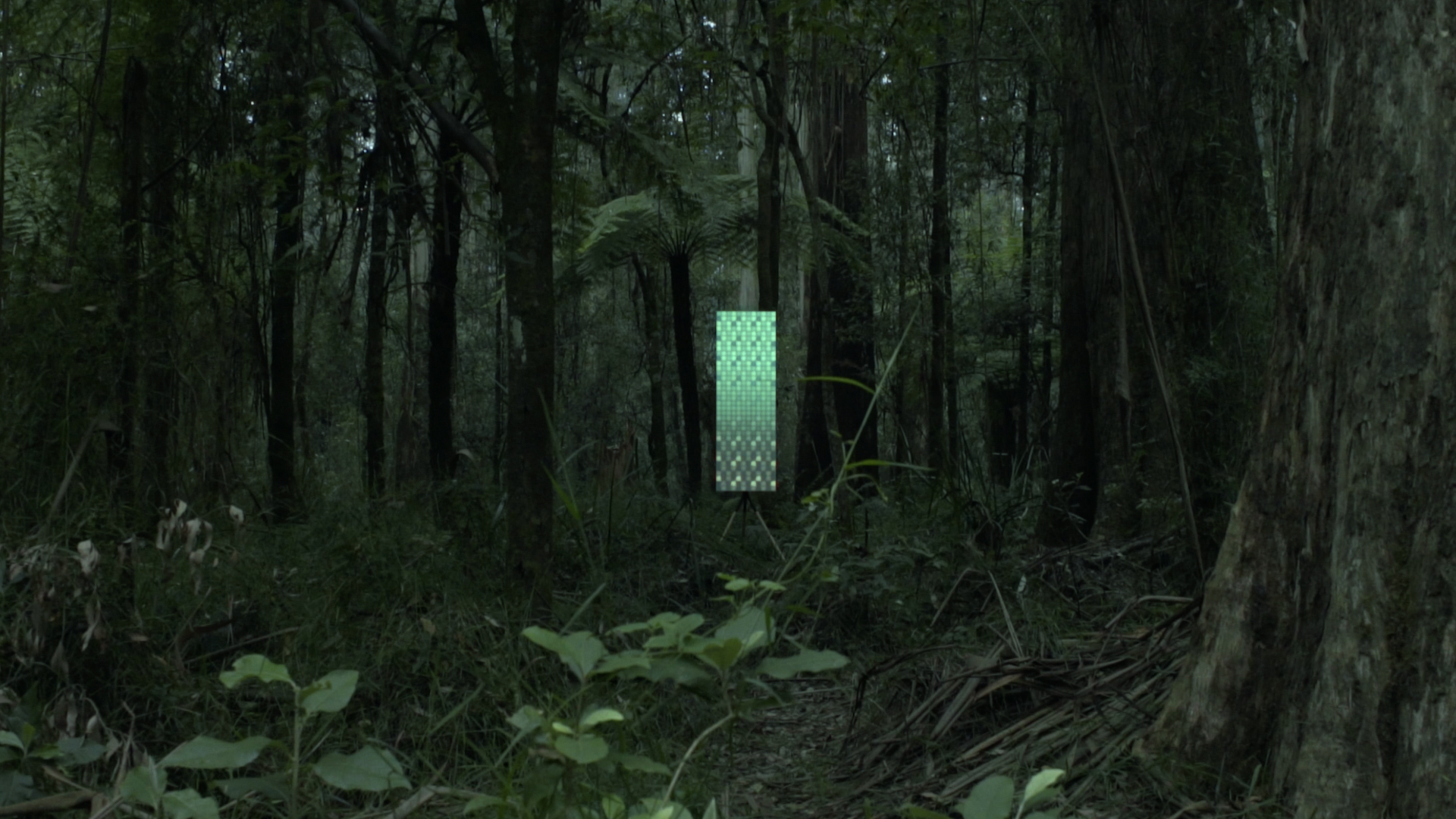 background2.jpg