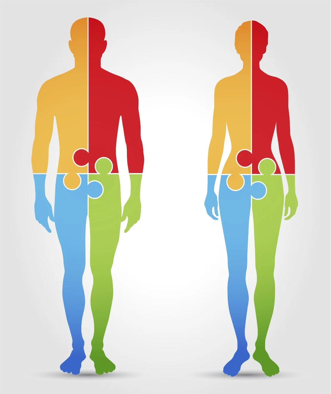 Anatomy figures