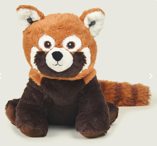 red panda 1.png