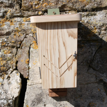 ww doubl batbox 3.PNG