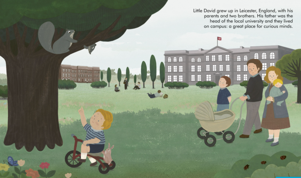 bs - David Attenborough 2.PNG