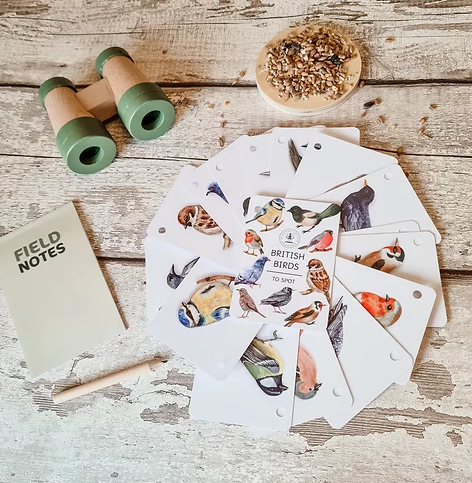 plr-birds explorer 2.PNG