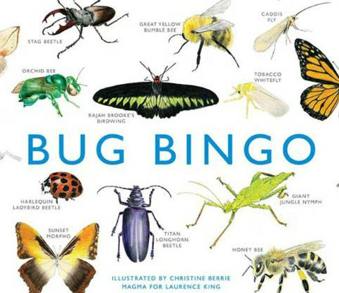 BUG BINGO