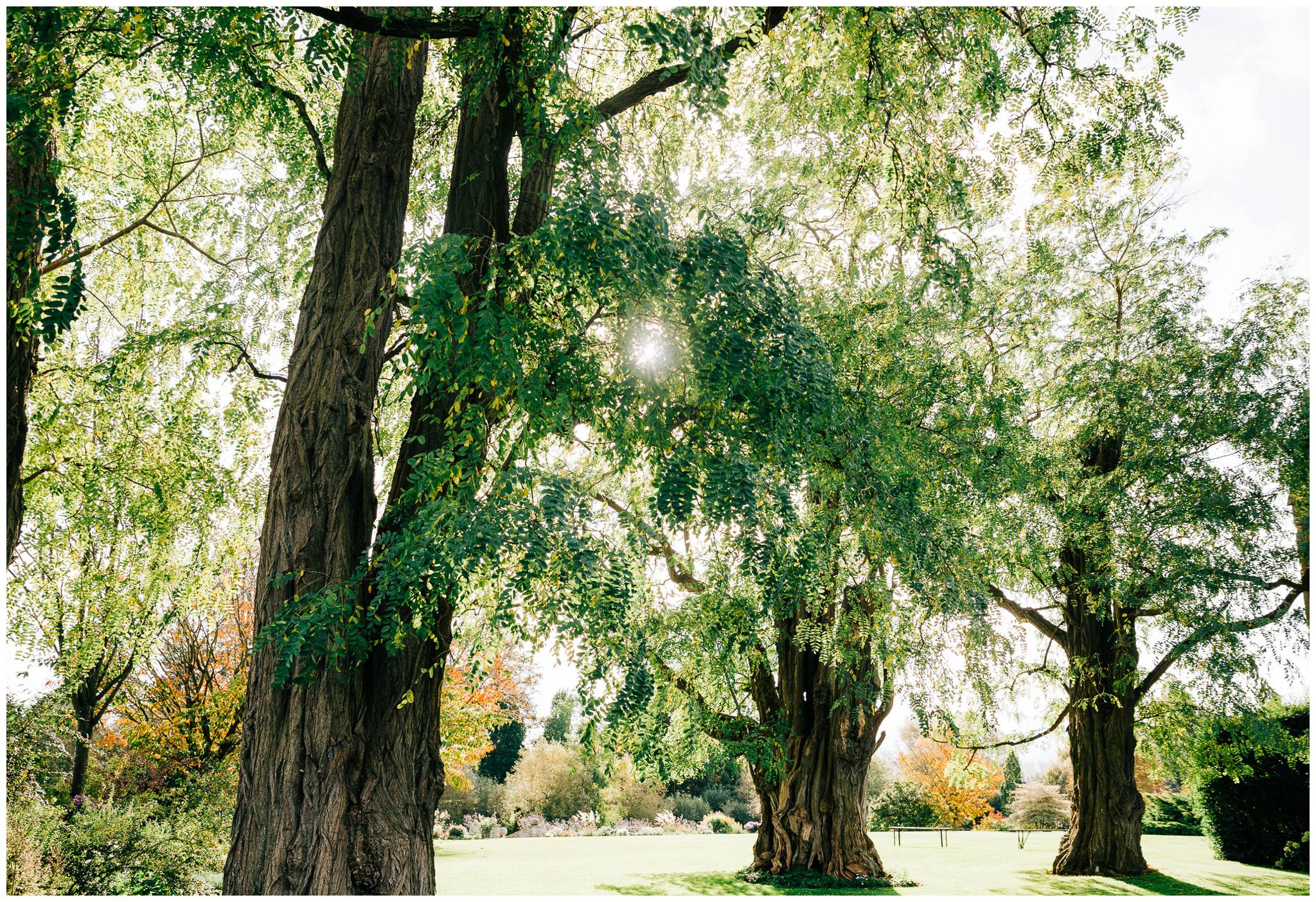 Natural wedding photography Manchester - Clare Robinson Photography_0212.jpg