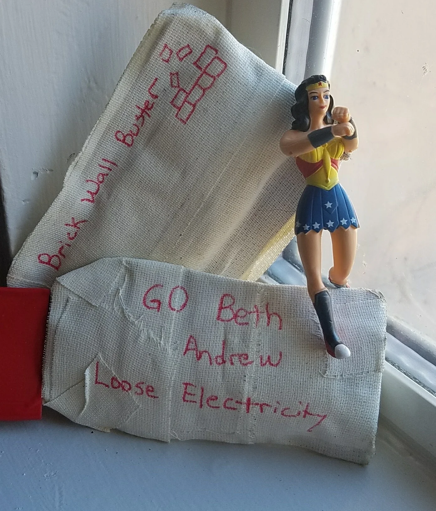 This was my mini Wrunder Woman. She was in my back pocket for the swim, bike and run. Here she is protecting my Emergency gels.