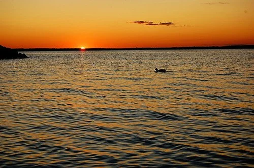 IRONMAN OTTAWA 2025 - THE SWIM