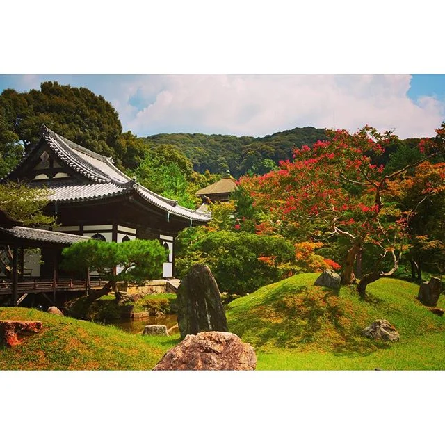 Colors and zen in the gardens. #treoninasia