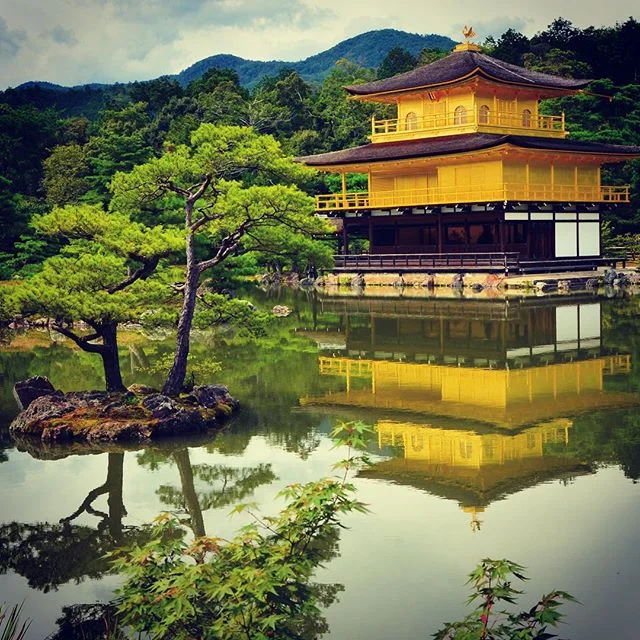 Kinkakuji - The Golden Pavilion in #Kyoto #treoninasia
