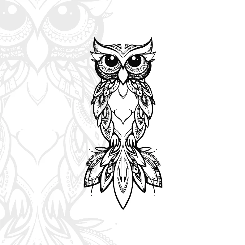 Owl Preview (Copy)