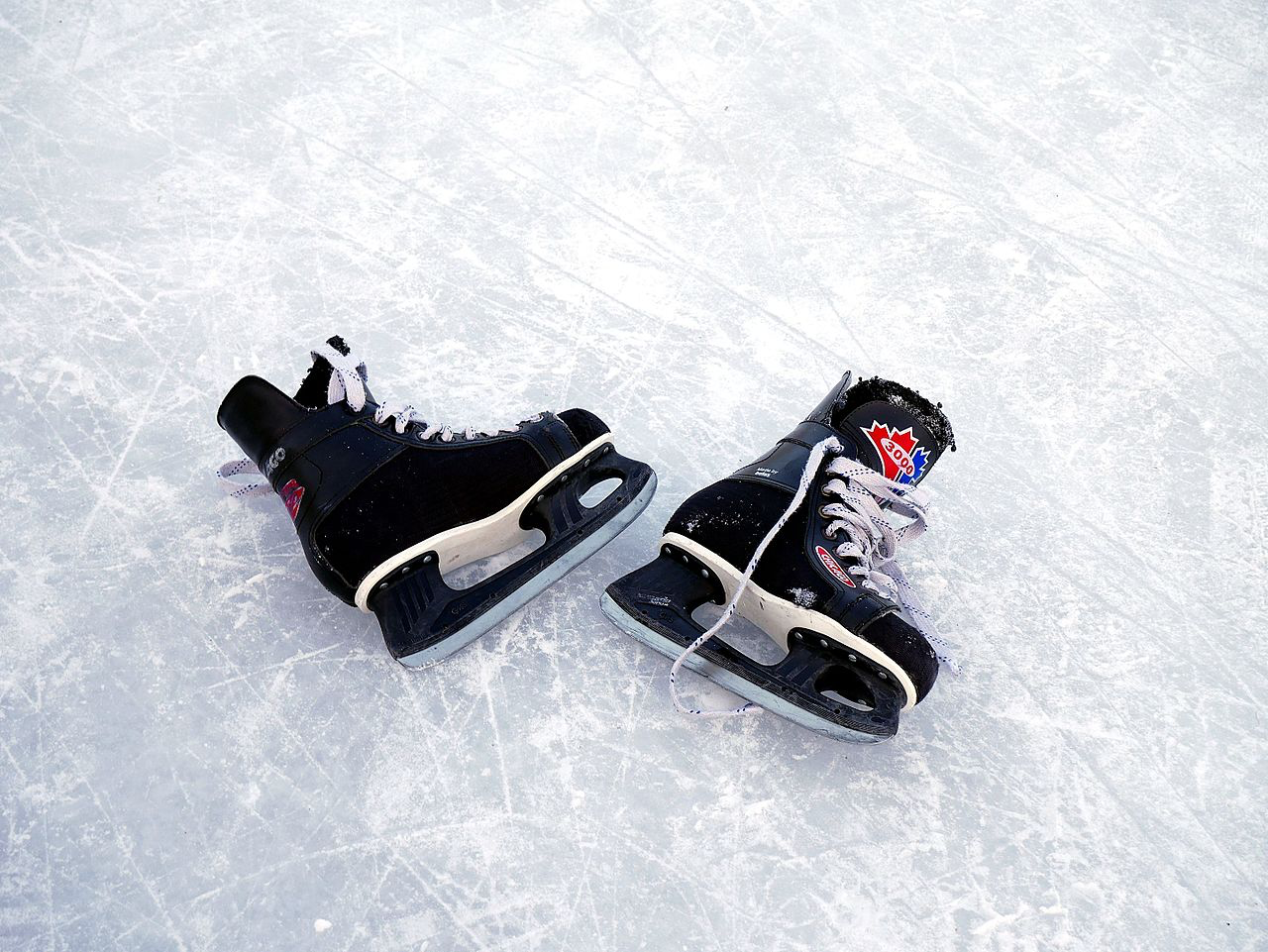 HPCA Family Skate Day