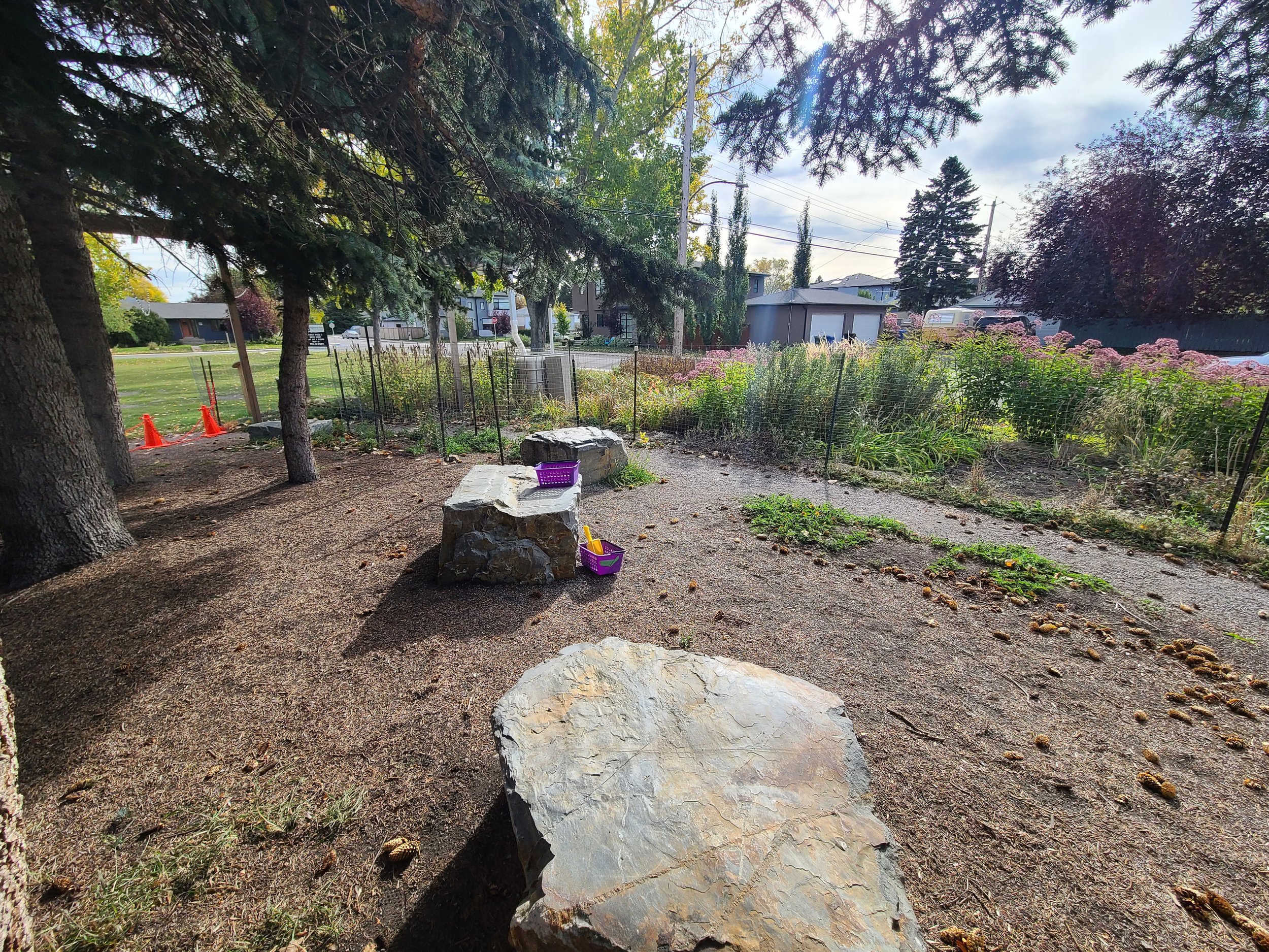 Garden set-up.jpg