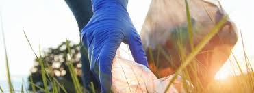 Community Litter Cleanup