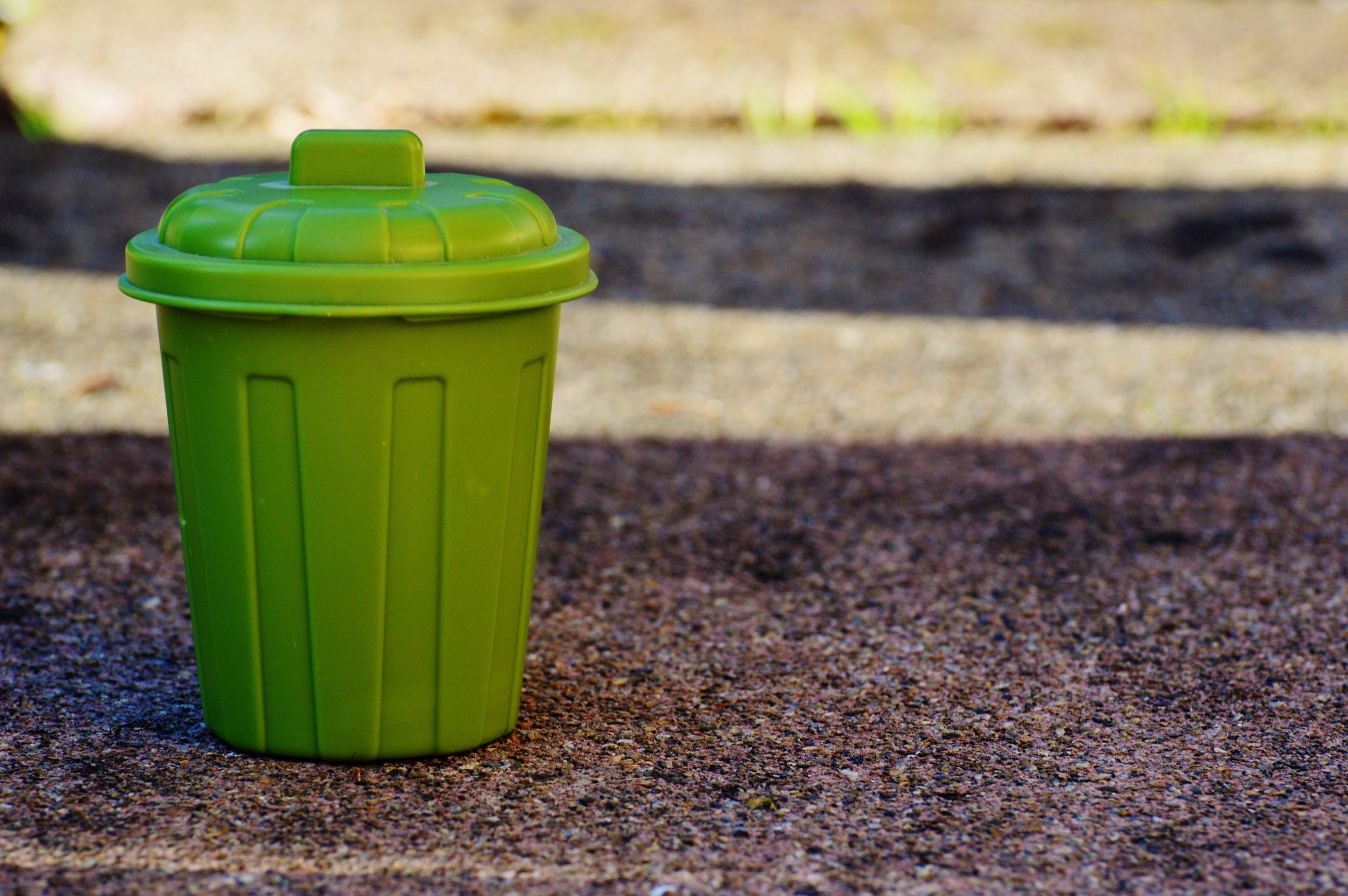   Community Litter Cleanup   Aug 8 &amp; Sept 12 10:00-11:00 am‍    Learn More   