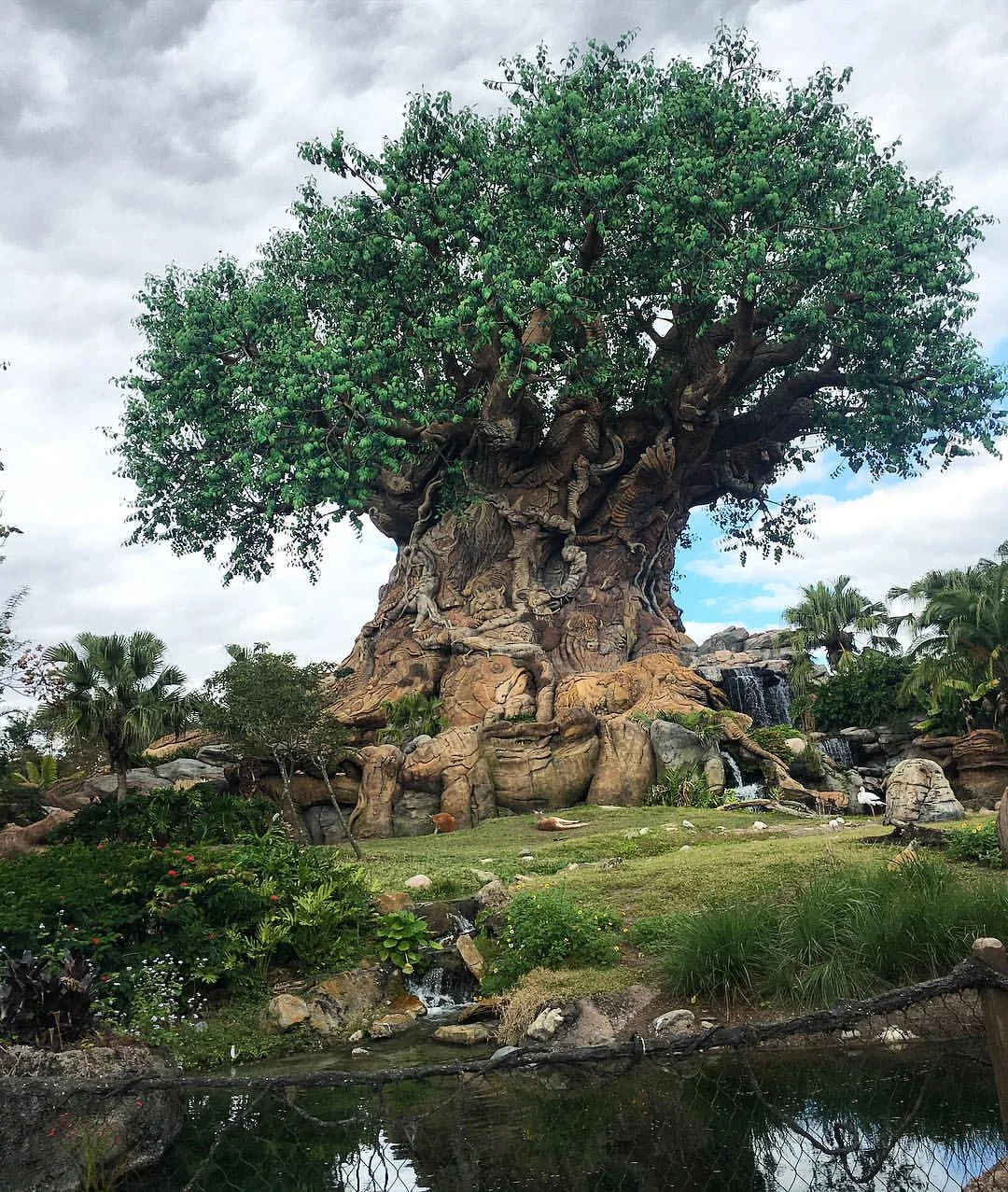 The Tree of Life at Disney's Animal Kingdom