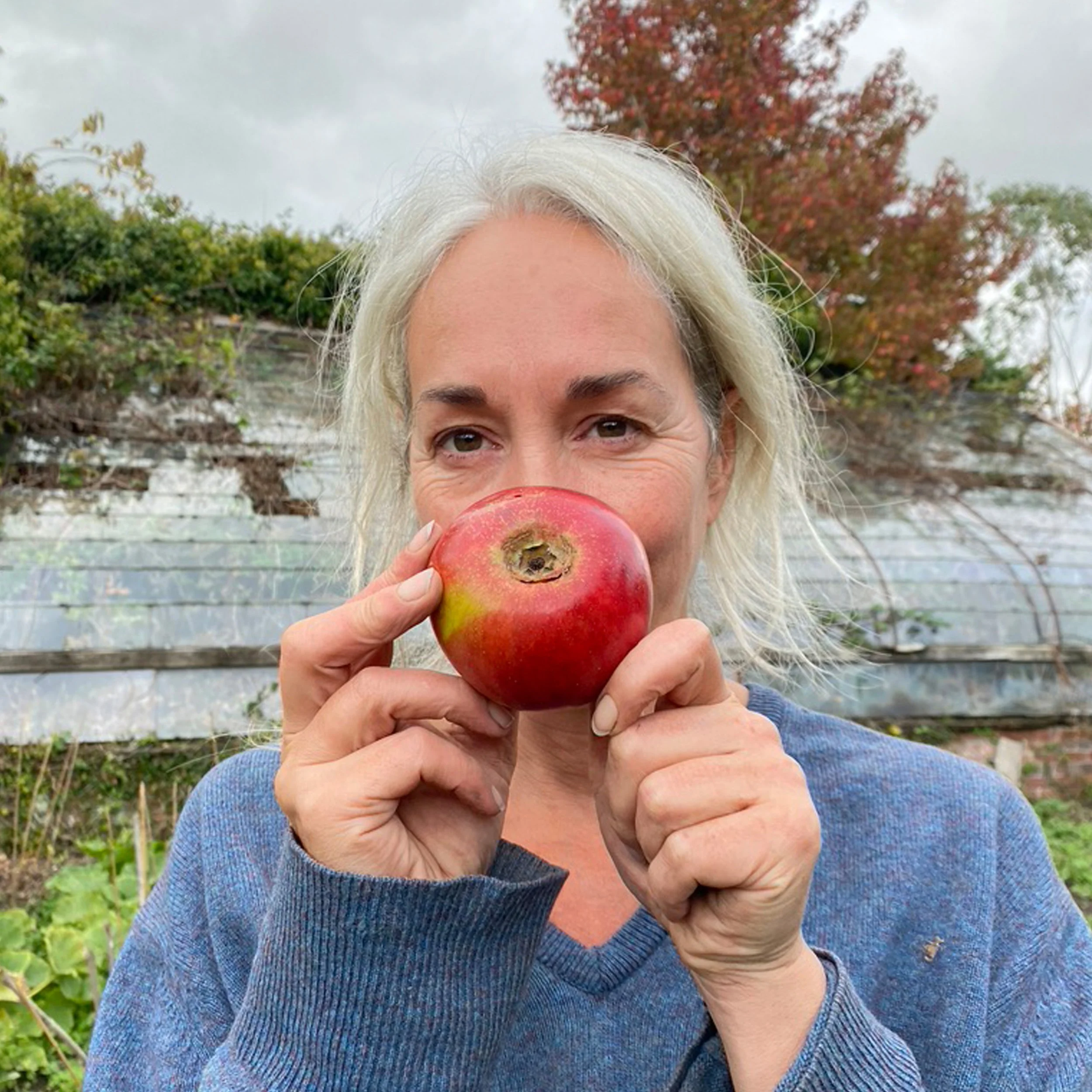Withywood founder Phaedra Politis holds up a freshly picked apple in the Withywood Garden.