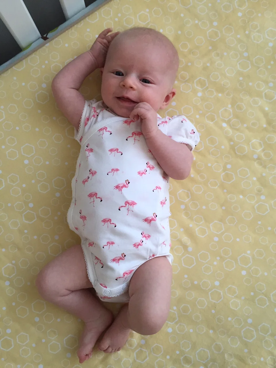10weeks (3).jpg