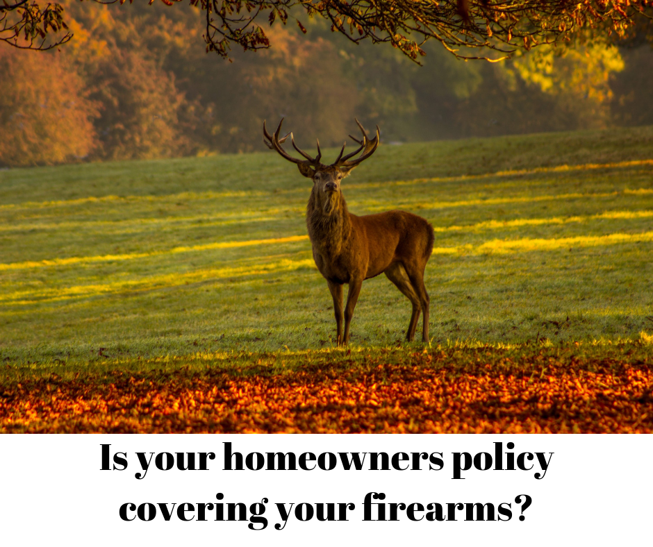 Homeowners Insurance - Firearms coverage?