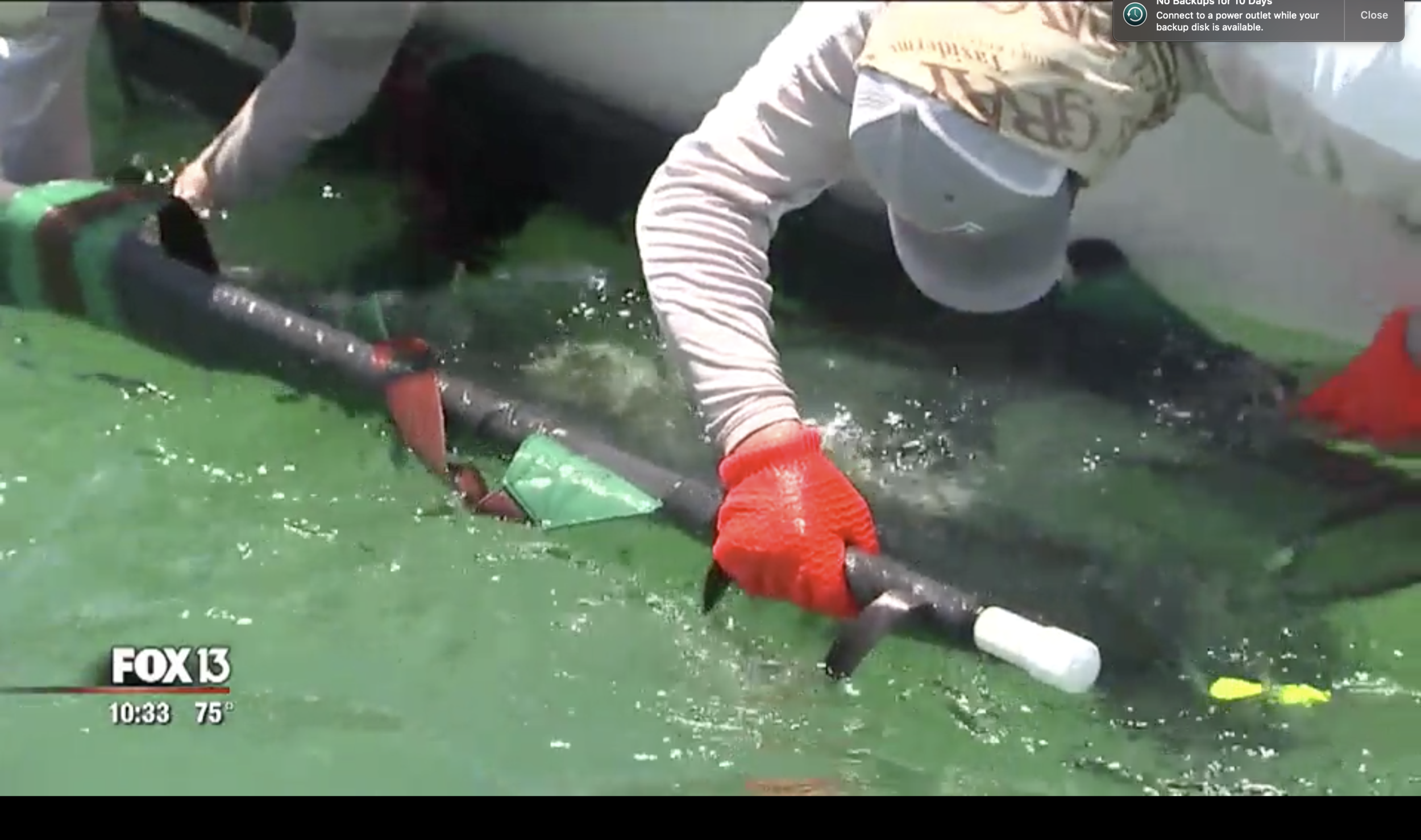 Screen Shot 2019-08-05 at 7.01.49 PM.png