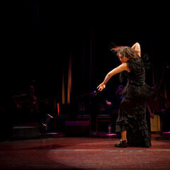 flamenco+energy.jpeg