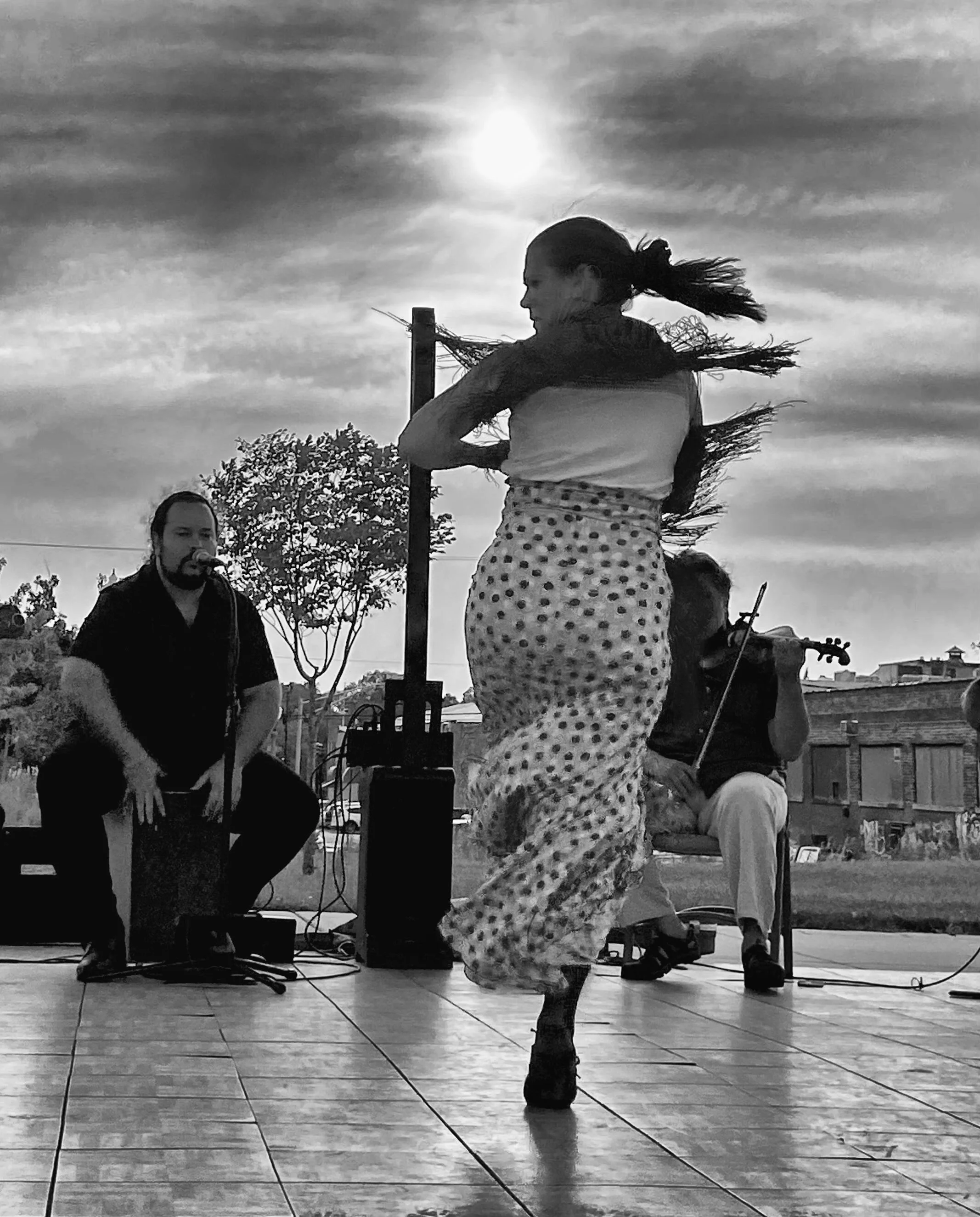 The Flamenco Quartet Project is honored to participate in Fiesta Ravinia!