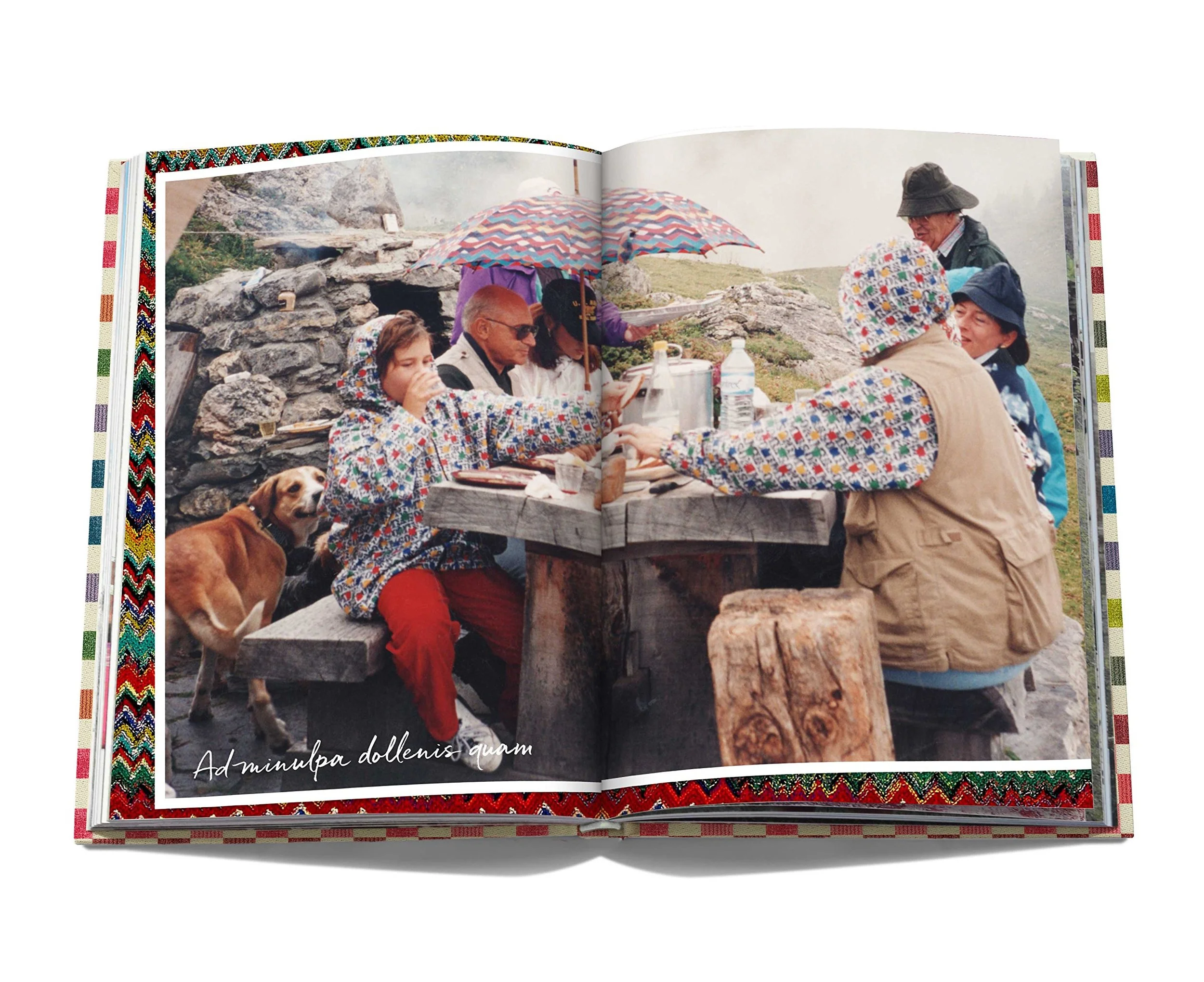 The Missoni Family Cookbook | Francesco Maccapani Missoni