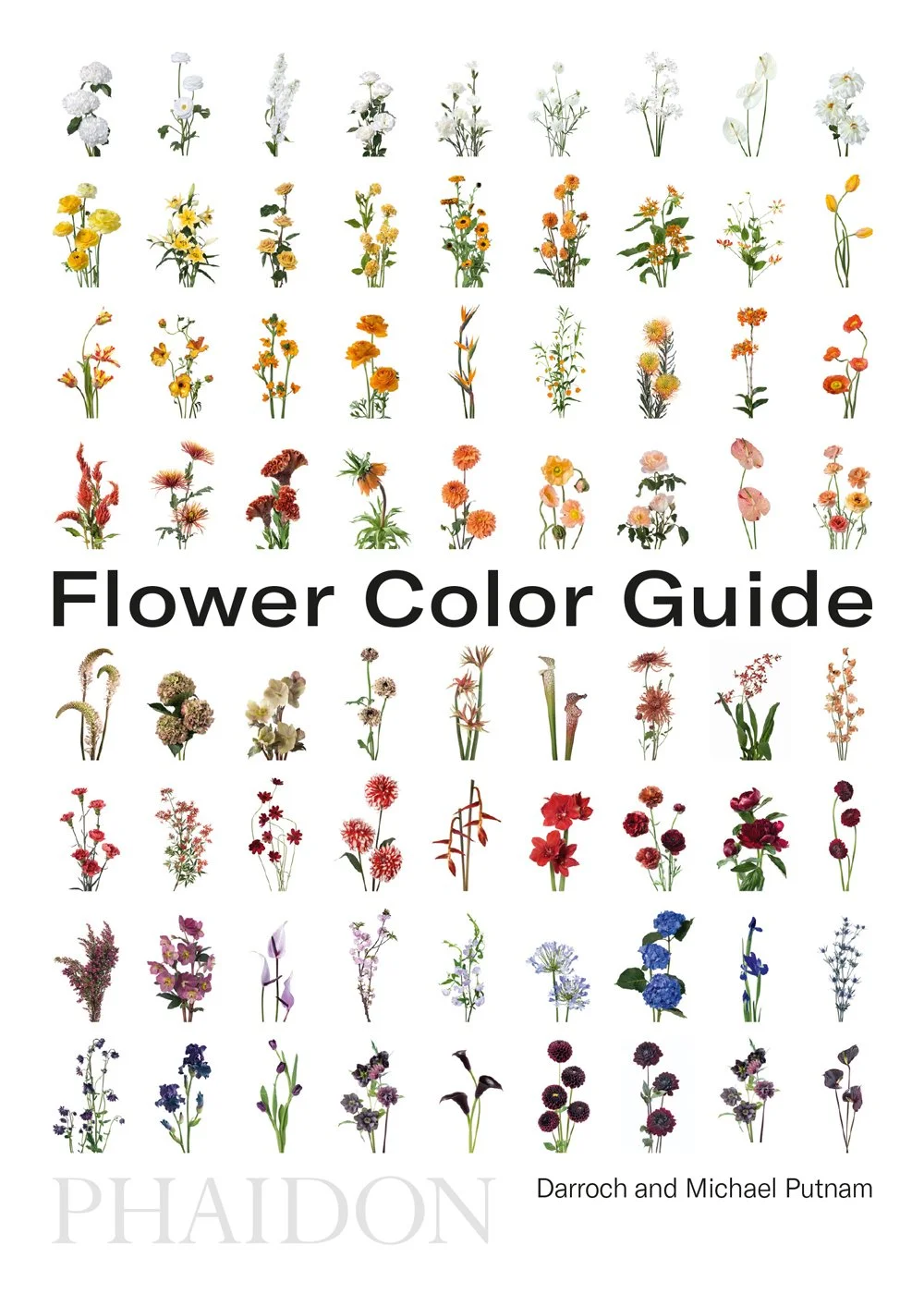 Flower Color Guide | Darroch Putnam, Michael Putnam